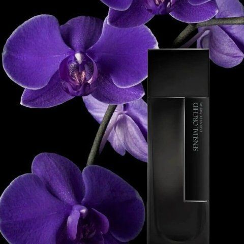 Sensual Orchid Laurent Mazzone Sensual Orchid фото