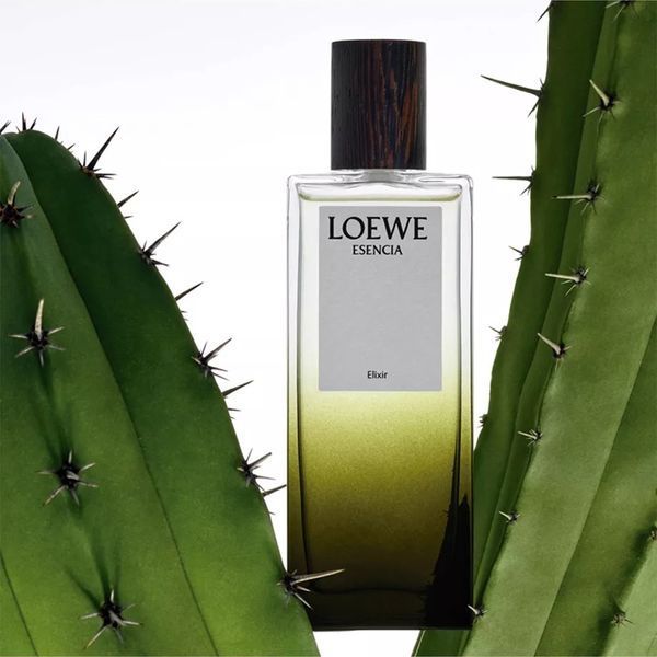 Esencia Elixir Loewe Esencia Elixir фото