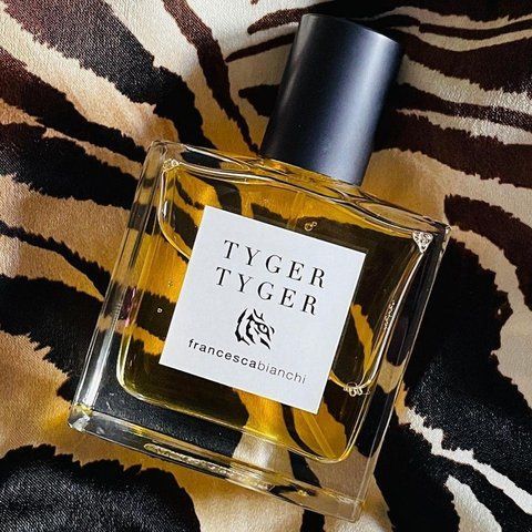 Tyger Tyger Francesca Bianchi Tyger Tyger фото