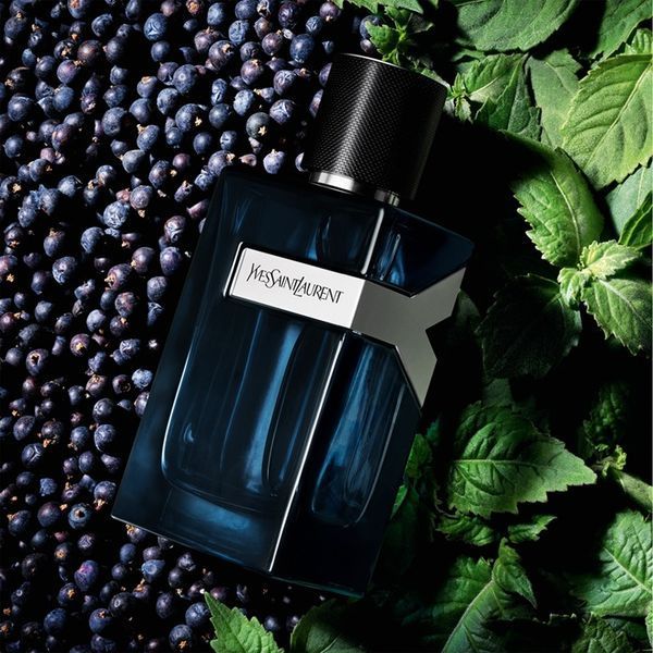 Y Intense Yves Saint Laurent Y Intense фото