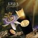 Erba Leather Sospiro Erba Leather фото 3