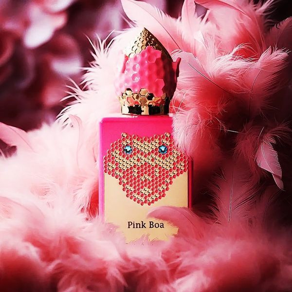 Pink Boa Stephane Humbert Lucas Pink Boa фото