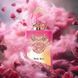 Pink Boa Stephane Humbert Lucas Pink Boa фото 1