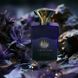 Interlude Black Iris Man Amouage Interlude Black Iris Man фото 3
